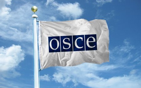 OSCE    .  ,   (+18)