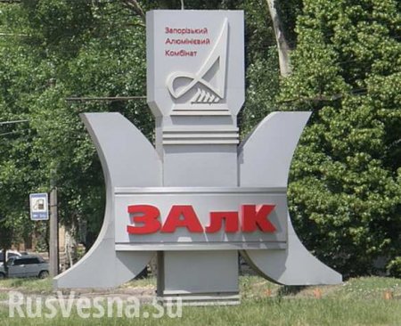 Акции принадлежавшего «Русалу» комбината перешли в собственность Украины