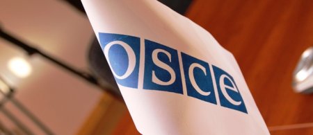 ОБСЕ намерены  7 июля  представить результаты поездки в Донбасс на заседании рабочей группы по безопасности