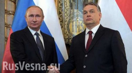 Putin, Hungarys Orban exchange views on European agenda
