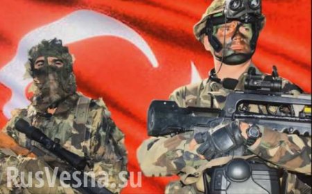 Slaughter in Syria: Turkish military and pro-Turkish militants destroy each ...
