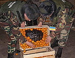 На Украине пограничники нашли в грузинских мандаринах контрабандный фундук (ФОТО)