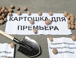 В Одессе посадили картошку для Азарова (ФОТО)