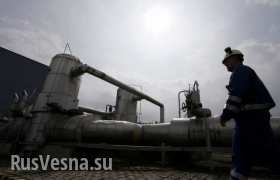ФНЭБ: Украина потеряла до $1 млрд из-за сокращения транзита российского газ ...