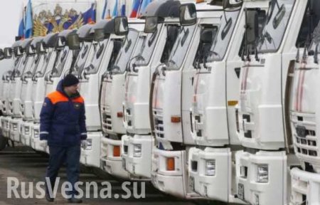 Russian aid convoy arrives at Russias state border, Emergencies Ministry says