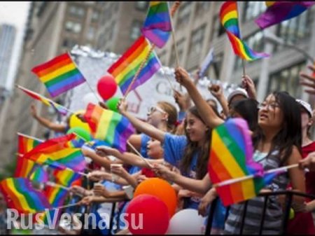 Американским школьникам будут преподавать историю гомосексуализма