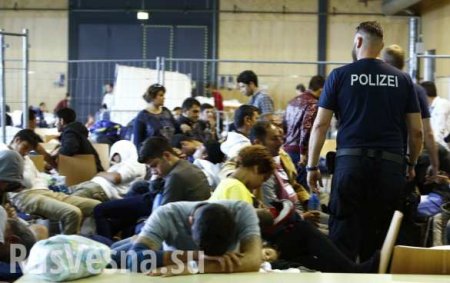В результате массовой драки в приюте для беженцев в ФРГ пострадали шесть человек