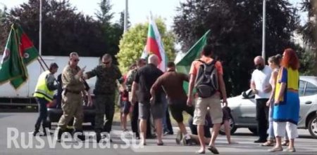 Болгары избили украинцев и литовцев, протестовавших против России (ВИДЕО)