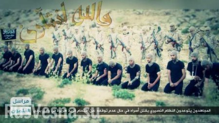 Кадры новой жестокой казни: террористы убили 14 сирийских военных (ФОТО, ВИ ...