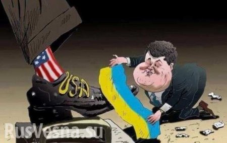 На Украине предложили объявить войну США 