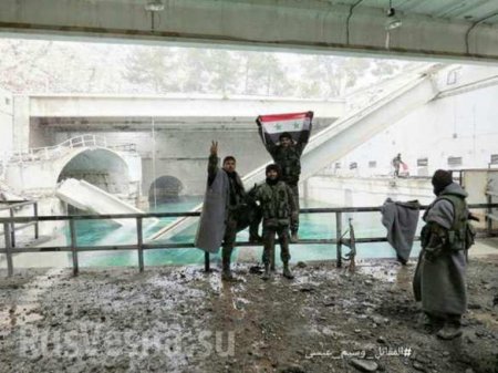 Militants burnt houses before evacuation  rep from liberated Wadi Barada valley outside Damascus (VIDEO, PHOTOS)