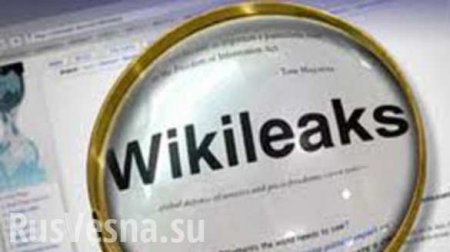 Wikileaks        