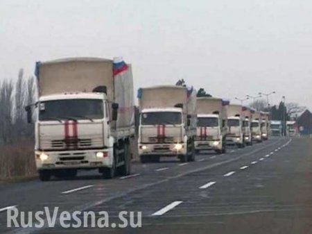 Russian humanitarian aid convoy arrives in Donetsk