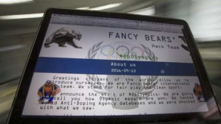  Fancy Bears    