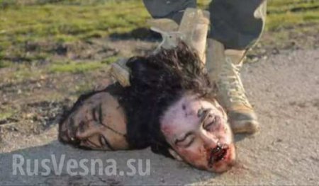 Russian Air Forces Save Heads of the Syrian Opposition In Deraa Province: new advance of ISIS terrorists in the south of Syria had been stopped by Su-30 Russian Jets (PHOTO 21+)