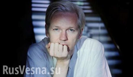   WikiLeaks      