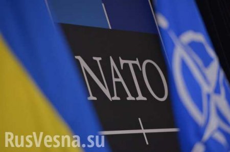 Ukraine and the NATO Military Alliance