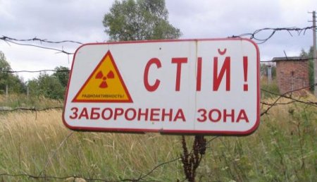 В Чернобыле второй день продолжается лесной пожар