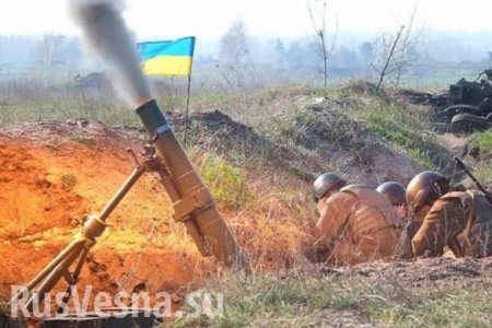 ДНР предложила Киеву вывести нацбатальоны из Авдеевки для стабилизации ситуации в регионе