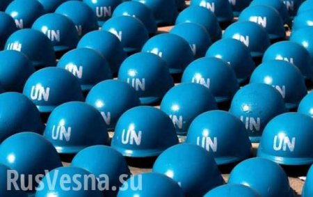 ВАЖНО: Главы МИД России и Германии обсудили вопрос ввода миротворцев ООН на Донбасс