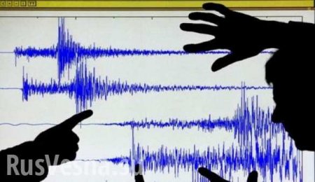 Кузбасс, Индонезия, Япония: все землетрясения за минувшие сутки
