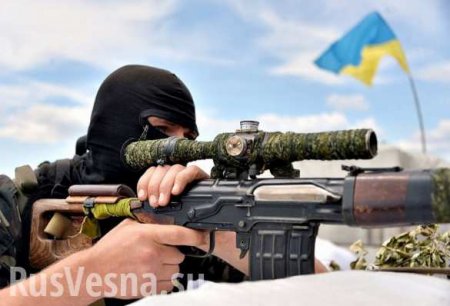 Киев перебросил под Докучаевск 6 снайперских групп под руководством инструкторов НАТО