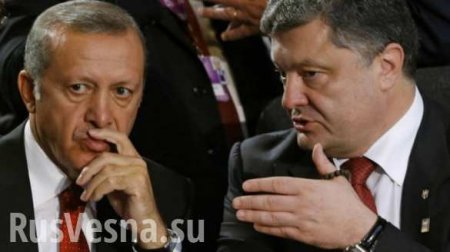 Эрдоган заснул во время выступления Порошенко (ВИДЕО)