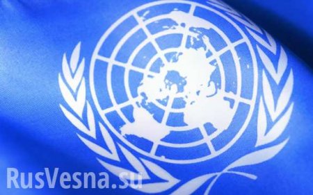 Russia casts 11th U.N. Syria veto, again blocking extension of UN JIMs Man ...