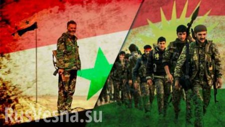 Успех Армии России: курдские ополченцы и сирийские военные вместе защищают мир в Дейр Зоре (ФОТО)