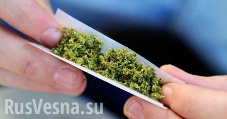 Задержан кандидат в президенты Грузии, который раздавал марихуану на фестивале