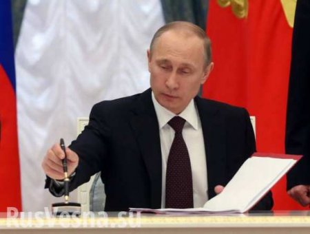 Барьеры снимут: Путин подписал новую концепцию миграционной политики России (ВИДЕО)