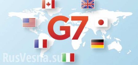 G7 призвала Украину раскрыть убийство «активистки» Гандзюк