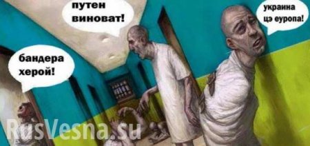    ,    ()