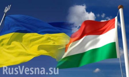 Венгрия будет блокировать интеграционные стремления Украины до победного конца, — МИД страны