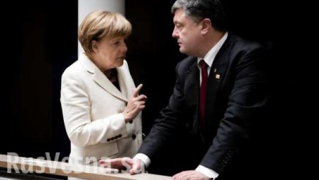 Берлин отворачивается от Киева: как Украина сама себя высекла на Азове