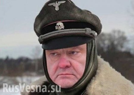 Гитлеровская Украина: Порошенко и современные эсэсовцы (ФОТО)