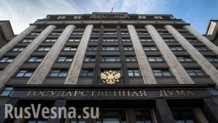 Госдума в первом чтении приняла законопроект о госслужбе для бывших граждан Украины