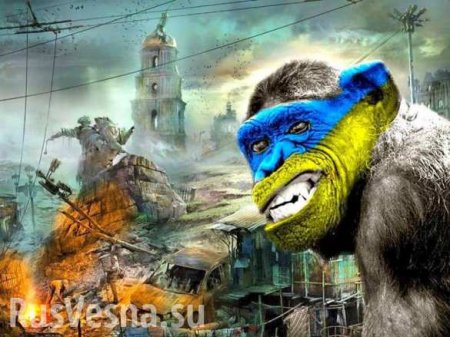 Дикая Украина: Врачи захватили горсовет Львова и справили нужду в графин со стола президиума (ВИДЕО)