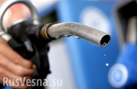 Украина закупила 130 тысяч тонн бензина в России в 2018 году, — СМИ 