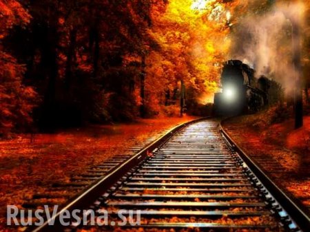 Порошенко запустил «поезд для орков» перед выборами (ФОТО)