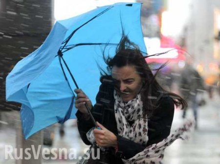 В Москве десять человек пострадали при падении деревьев от сильного ветра