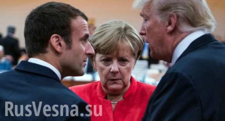 G7     -  ,  Reuters