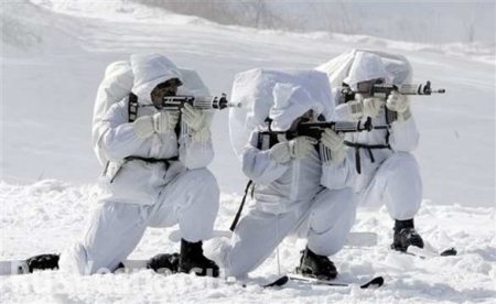Российский спецназ готовит «захват» северных регионов — паника в Норвегии