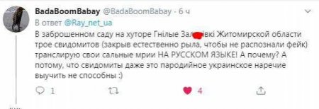         ()