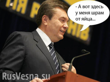 Метнувший яйцо в Януковича стал заместителем губернатора (ВИДЕО)