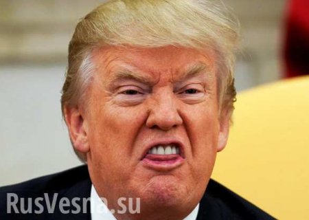       ,  CNN