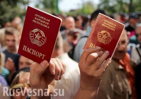 Куда обращаться гражданам ЛНР в случае утери документов в России