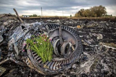    ,      Boeing MH17