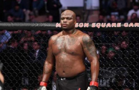  UFC      ()