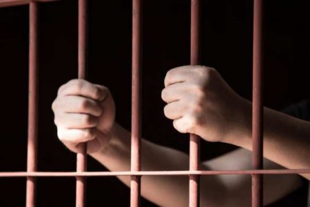 «Одуревших видеоблогеров ждёт судьба бандитов из 90-х»
